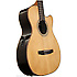 GM500CE-NT Ibanez