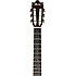 GM500CE-NT Ibanez