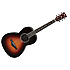 AVN1-BS Ibanez