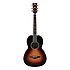 AVN1-BS Ibanez