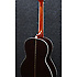 AVN1-BS Ibanez