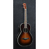 AVN1-BS Ibanez