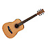 PF58-OPN Ibanez