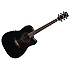 AW70ECE-BK Ibanez