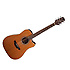 GD20-CE Takamine