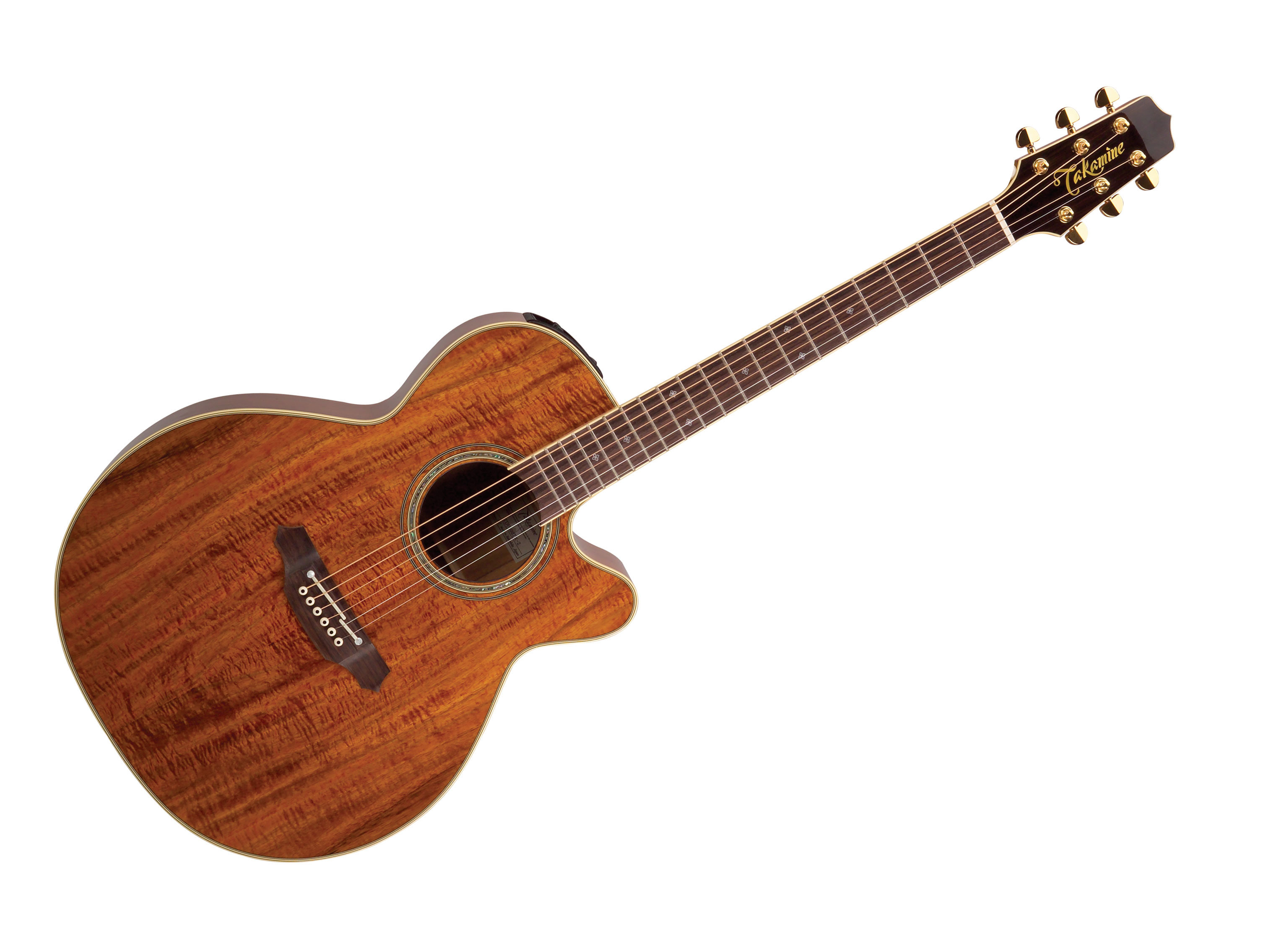 takamine pro series ef508kc nex