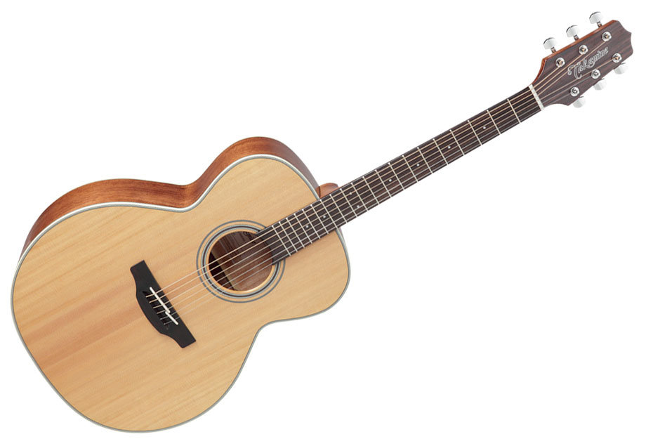 takamine g series gn20 ns