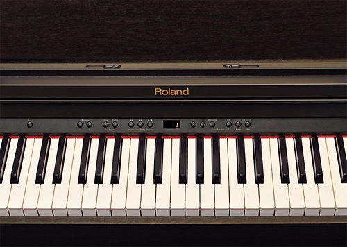 RP401R-RW Roland