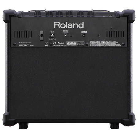 CUBE-10GX Roland