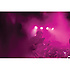 H1301 Chauvet DJ