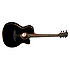T100ASCE-BLK Full Pack LAG