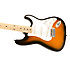 Affinity Stratocaster Maple 2 Color Sunburst Squier by FENDER