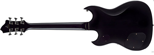 Pat Smear Signature Hagstrom