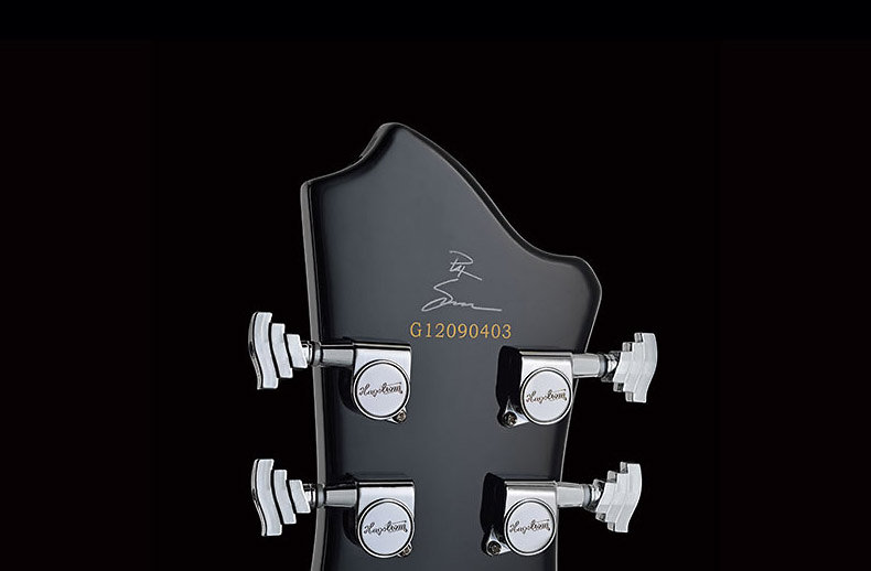 Pat Smear Signature Hagstrom