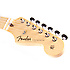 American Vintage 56 Stratocaster Shell Pink Fender