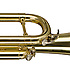 WS-TR215S Stagg