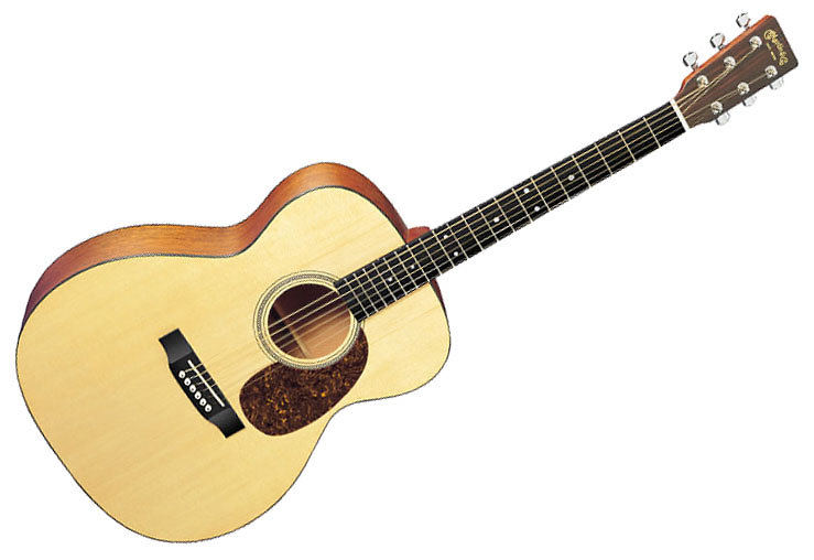 Martin Guitars 000-16GT