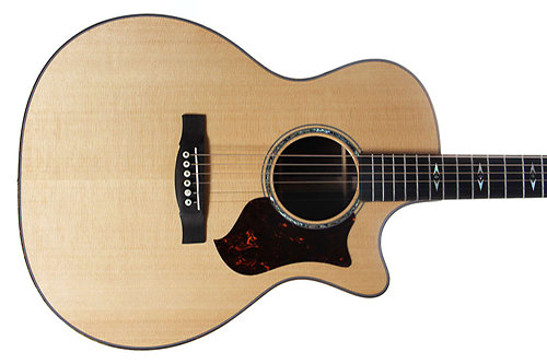Martin Guitars GPCPA1