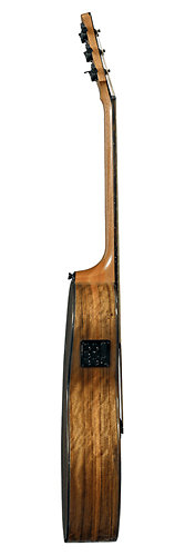 Tramontane Michel Haumont Parlor TSE-MH LAG