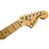 Limited Edition Sandblasted Stratocaster Crimson Red Transparent Fender