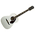 Tim Armstrong HC White Satin Fender
