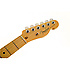 Limited Edition American Standard Double-Cut Telecaster Fender