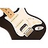 American Standard Strat HSS Shawbucker Black Fender