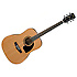 PF17 LG Ibanez