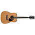 PF17 LG Ibanez