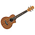 UEW5-OPN Ibanez