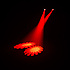 Intimidator Spot Duo 150 Chauvet DJ