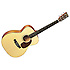 000-16GT Martin Guitars