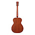 000-16GT Martin Guitars