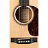 000-16GT Martin Guitars