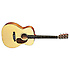 000-16GT Martin Guitars