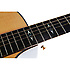 GPCPA1 Martin Guitars