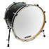 EQ3-NP Blanche 16" TT16RSW-NP Evans