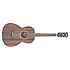 AVN2-OPN Ibanez