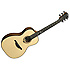 Tramontane Michel Haumont Parlor TSE-MH LAG