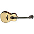 Tramontane Michel Haumont Parlor TSE-MH LAG