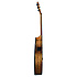Tramontane Michel Haumont Parlor TSE-MH LAG