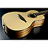 Tramontane Michel Haumont Parlor TSE-MH LAG