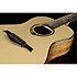 Tramontane Michel Haumont Parlor TSE-MH LAG