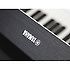 YDP-S52B Arius Yamaha