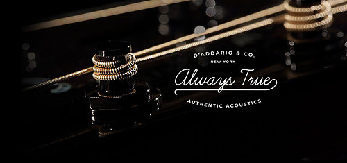 EXP36 NY Steel 10/47 Light 12-String D'Addario