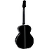 Renge-SO Limited 2015 Takamine