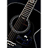 Renge-SO Limited 2015 Takamine