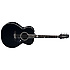 Renge-SO Limited 2015 Takamine
