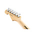 Limited Edition American Standard Stratocaster Oiled Ash Fender