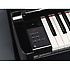 NU1 Yamaha